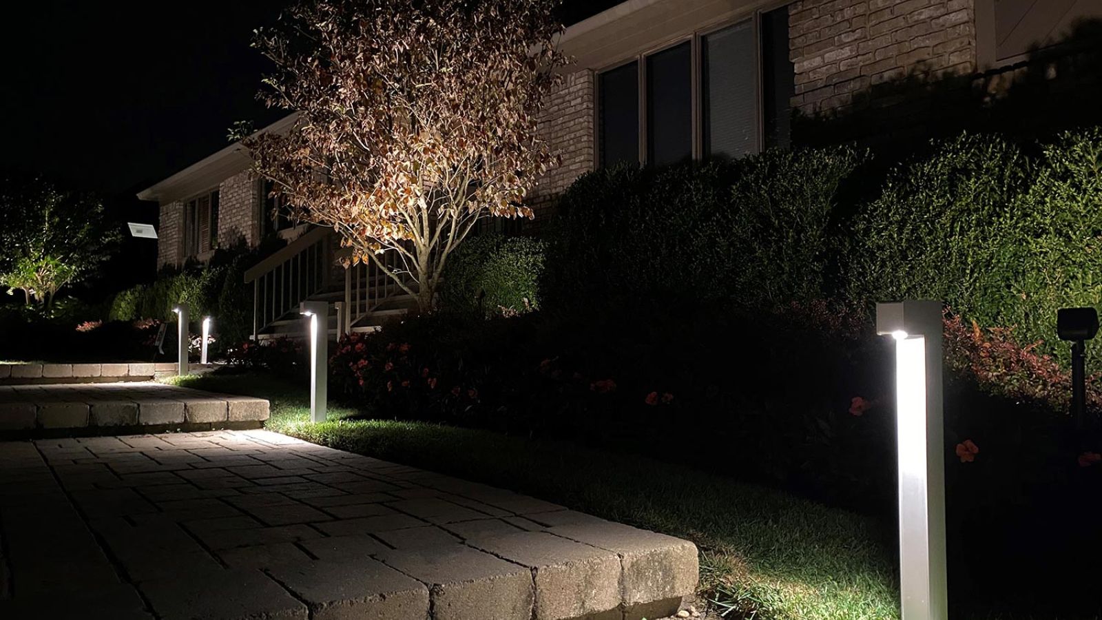 Pathway lit by modern garden lights at night, leading to a well-maintained home.