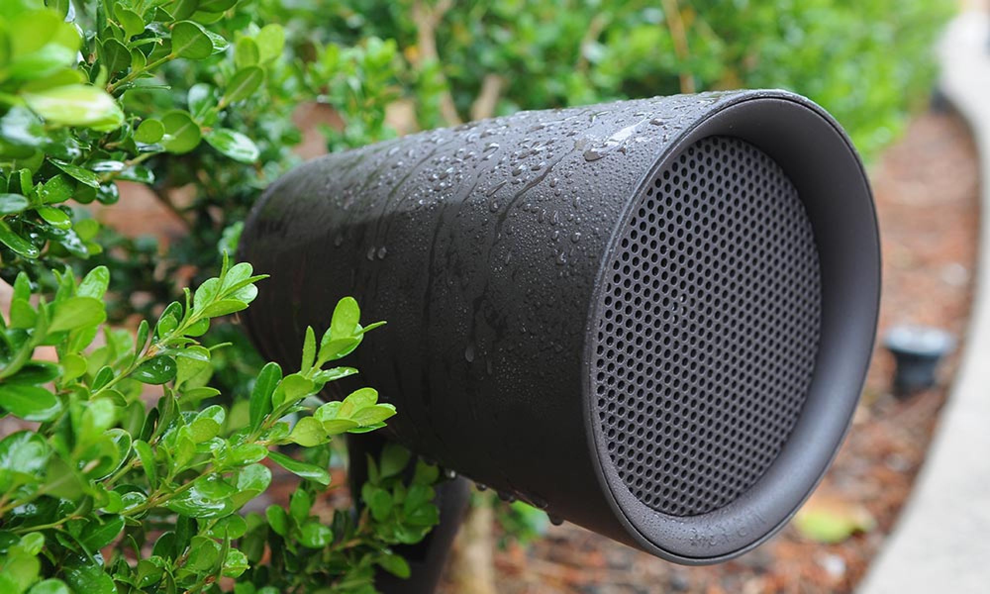 An outdoor speaker camouflaged among greenery, covered in droplets of water from recent rain.