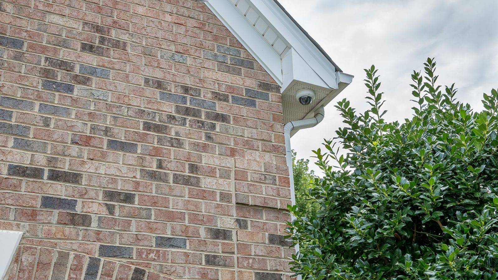 Dome camera installed on the soffit of a house, surrounded by a lush green tree.